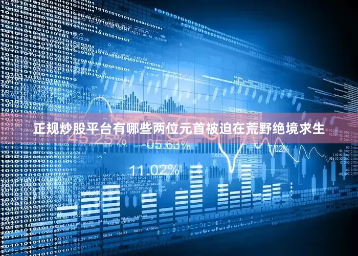 正规炒股平台有哪些两位元首被迫在荒野绝境求生