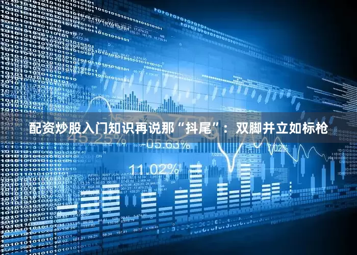 配资炒股入门知识再说那“抖尾”：双脚并立如标枪