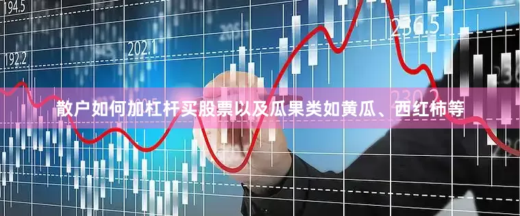 散户如何加杠杆买股票以及瓜果类如黄瓜、西红柿等