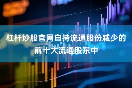 杠杆炒股官网自持流通股份减少的前十大流通股东中